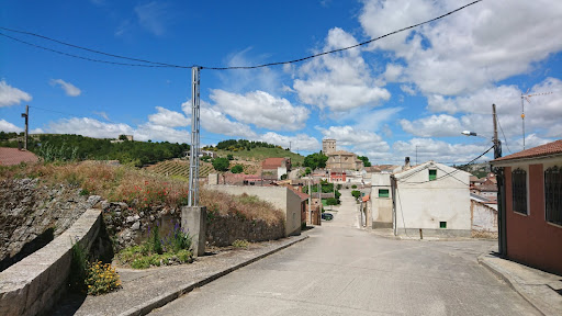 Castillo de Encinas de Esgueva