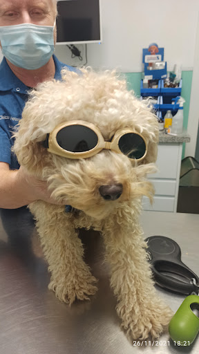 Clinica Veterinaria Laguna