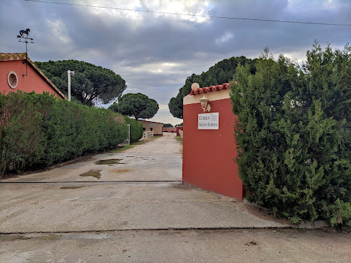 Clinica Equina Olmedo
