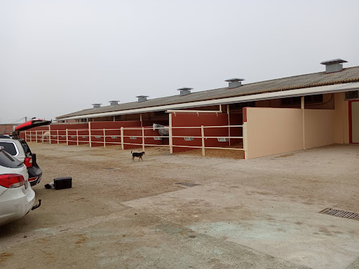 Clinica Equina Olmedo