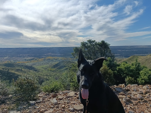 Clínica Veterinaria Torrelaguna