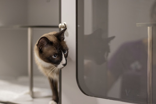 Clínica Veterinaria Zaratán