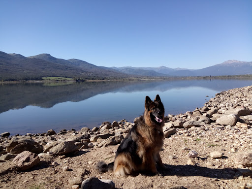 Clínica Veterinaria Andarrios