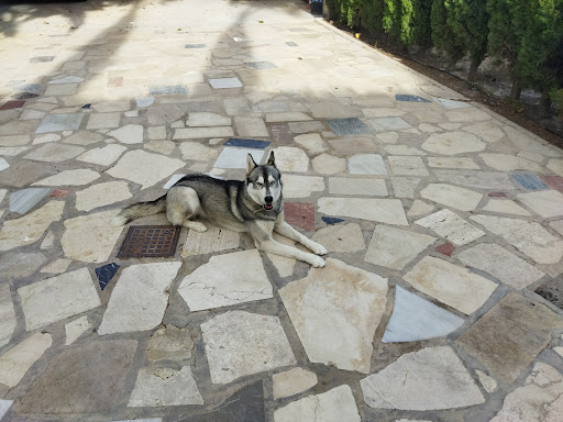 CLINICA VETERINARIA BANYERES