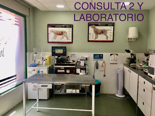Clínica Veterinaria Velilla de San Antonio