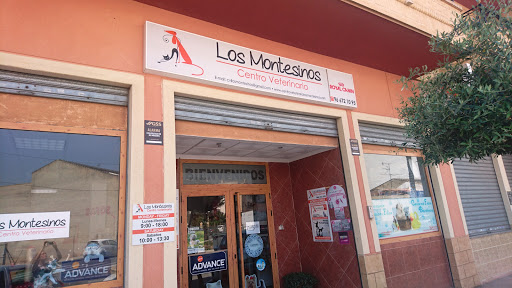 Centro Veterinario Los Montesinos | Fisioterapia y Rehabilitación Animal | Neurología