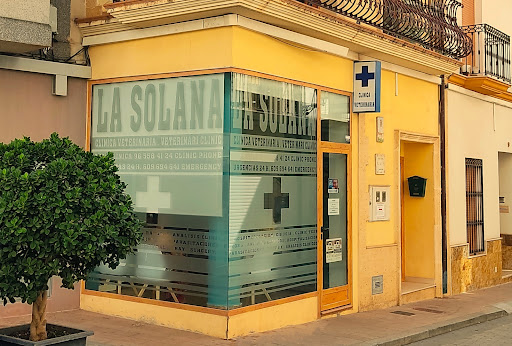 CLÍNICA VETERINARIA LA SOLANA - ORBA