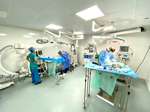 Hospital Veterinario Privet Villaviciosa