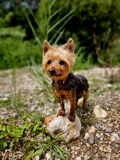 Clínica Veterinaria Polop