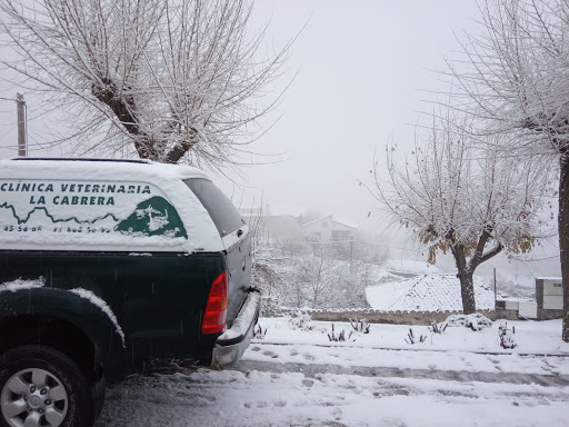 Clínica Veterinaria La Cabrera