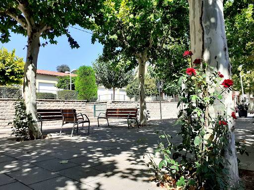 Consultori Local Avinyó