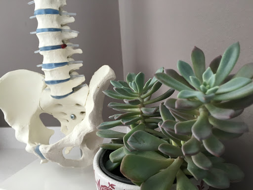 CAMSALUT. Centre d'osteopatia, fisioterapia i salut