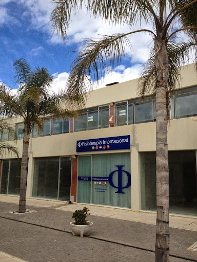 Fisioterapia Internacional