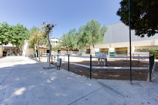AniCura San Vicente Hospital Veterinario