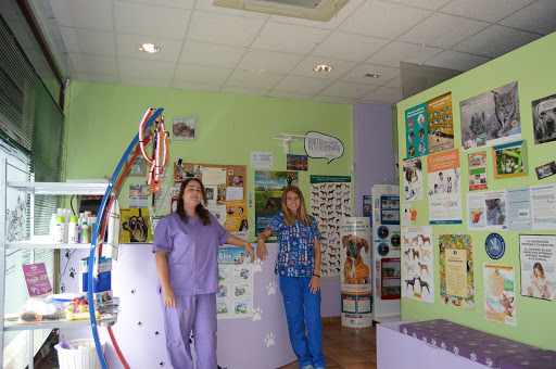 Clinica Veterinaria Campo Real