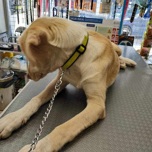 Clinica Veterinaria Kibu