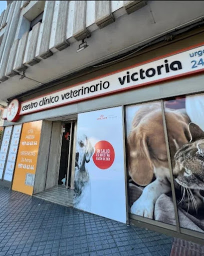 Hospital Veterinario Victoria