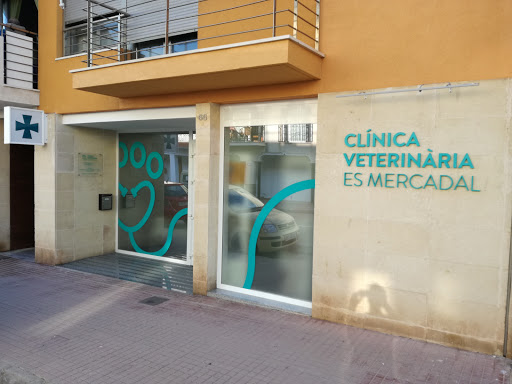 Clínica Veterinaria Es Mercadal
