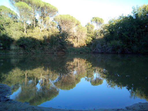 Fogars de la Selva