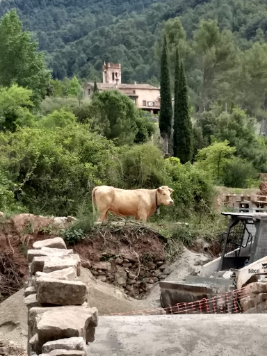 Gallifa