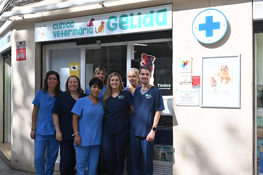 Clínica Veterinària Gelida