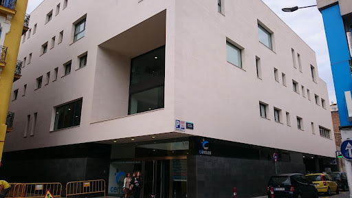 Institut Clínic Vallès
