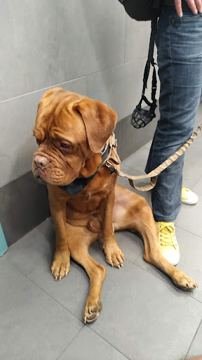 Clínica Veterinaria Clivet