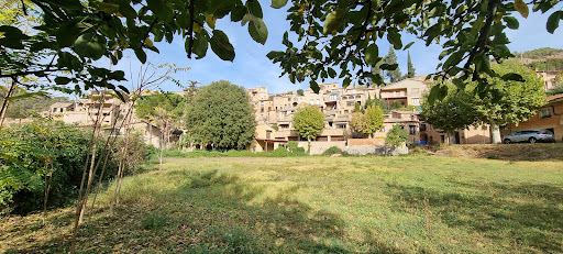 Mura