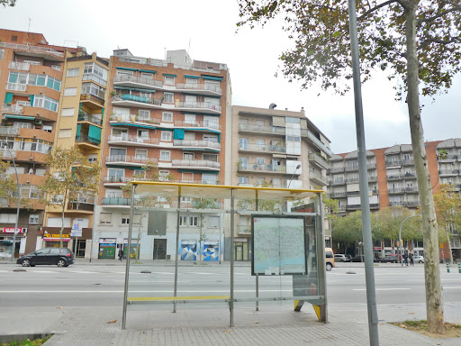 Navas