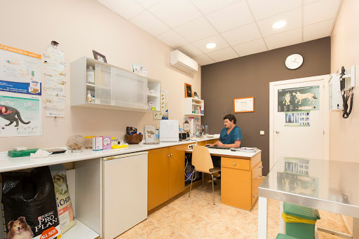 NG Centre Veterinari Palafolls