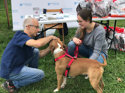 PRATDESABA VETERINARIS LLUÇANÈS