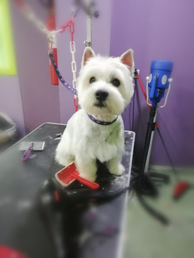 Clínica Veterinària Sant Fruitós