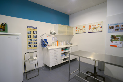 Medivet Sant Joan de Vilatorrada