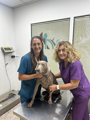 Clínica Veterinària Can Pilé