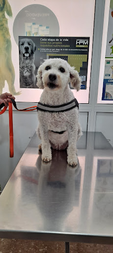 Clínica Veterinaria Viladecavalls