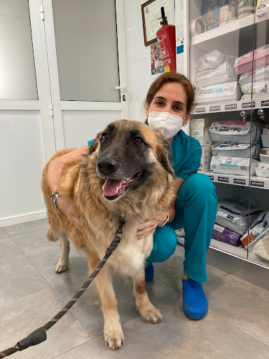 Clínica Veterinaria Ciudad Jardín