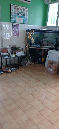 Clinica Veterinaria L Alqueria