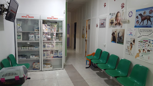 BeneVet Clínica Veterinaria