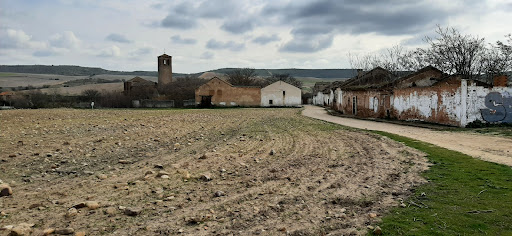 Fresno de Torote