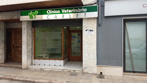 Clinica Veterinaria Carlet