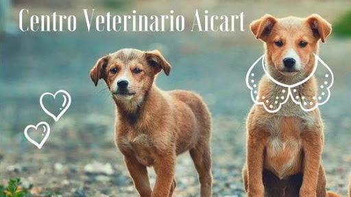 Centro Veterinario Gilet Aicart