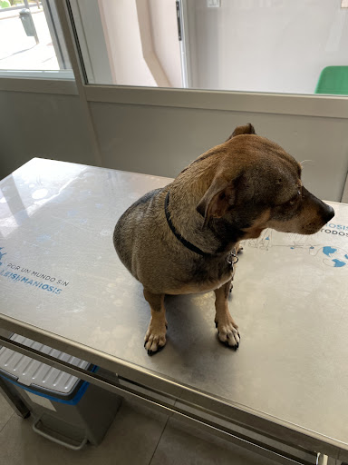 Clínica Veterinaria la Nucia