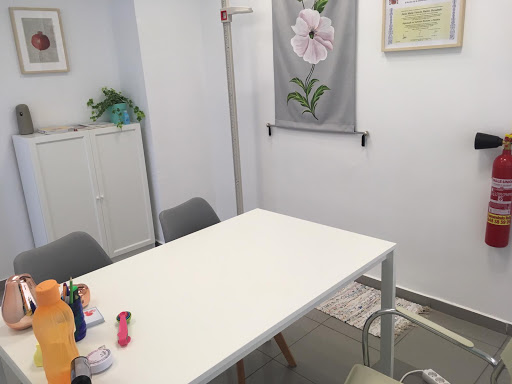 Salud Brenes Podología, Fisioterapia y Nutrición.Magdalena Martínez Magro