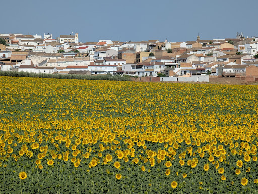 Gerena Consultorio