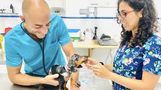 Centro Veterinario Salteras