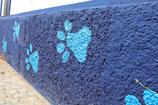 CENTRO VETERINARIO VALENCINA