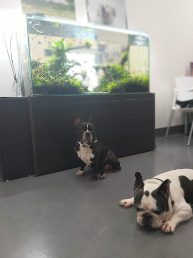 Hospital Aralar Veterinarios