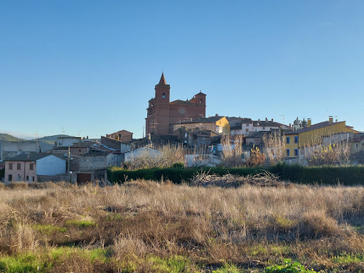 Torralba de Ribota