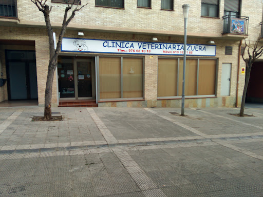 Clínica Veterinaria de Zuera