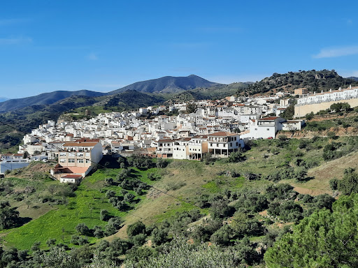 Consultorio de Almogía